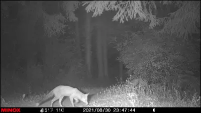 Alterner les cultures d'un champ d'une année sur l'autre !