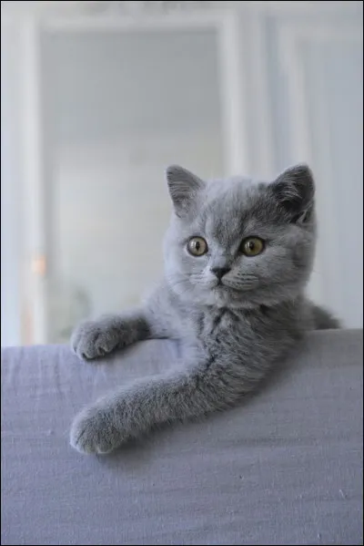 De quel pays "Phleng Chat" est-il l'hymne ?