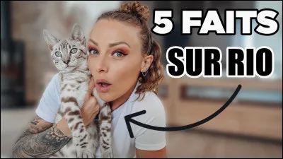 Si tu as un chat, de quelle couleur est-il (2) ?