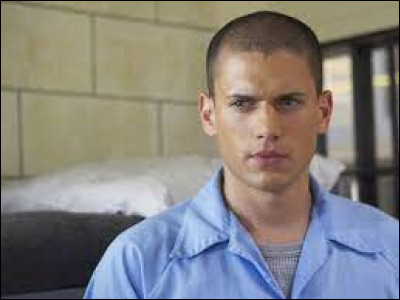 Quel acteur joue le rôle de Michael Scofield dans "Prison Break" ?