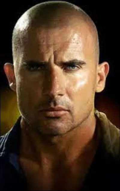 Comment se nomme le frère de Lincoln Burrows ?