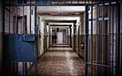 Que va-t-il faire afin de sauver son frère ?