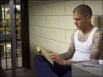 Dans quelle cellule Michael Scofield est-il placé ?