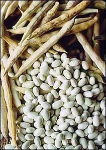 Qu'est-ce que c'est ?