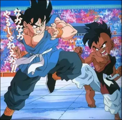 Avant de partir avec Oob, à quel Tenkaichi Budokai Goku participe-t-il ?