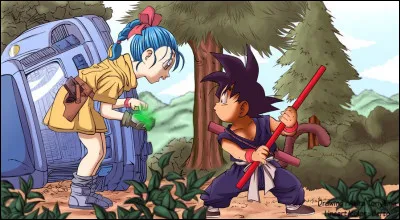 Comment s'appellent les Dragon Balls que Bulma a en sa possession avant de trouver "Sū Shinchū", la Dragon Ball à 4 étoiles emblématique de Goku ?