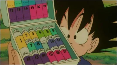 Comment s'appellent les célèbres capsules en japonais ?