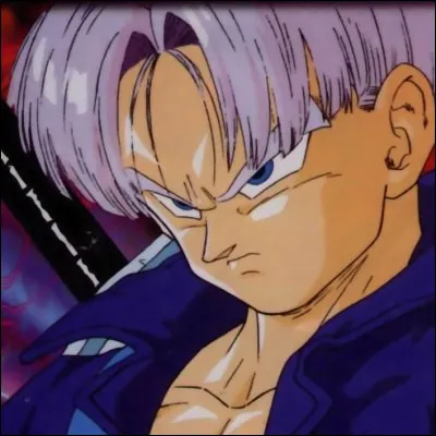 Qu'est-ce qui est écrit sur la machine à voyager dans le temps de Trunks ?