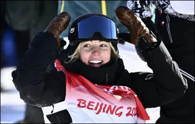 Lequel de ces pays n'a pas remporté de médaille à l'occasion de ces JO ?