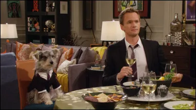 Comment Barney nomme-t-il le chien qu'il recueille ?