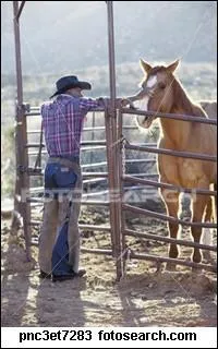Pensez-vous tellement que je vous ai pos des question sur les chevaux que j'ai un ranch !