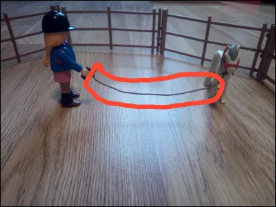 Comment se nomme ce long objet qui permet de faire du dressage de cheval ?