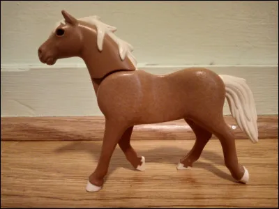 Quelle est la robe de ce cheval ?