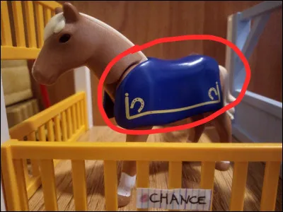 Comment s'appelle cet objet qui empêche le cheval d'avoir froid ?