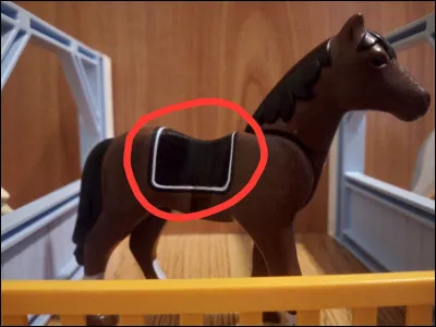 Comment se nomme cet objet qui empêche les frottements quand une personne monte sur un cheval ?