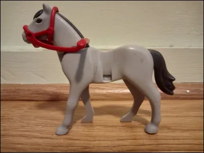 Comment se nomme cet objet en rouge auquel on se tient et qui sert à diriger son cheval ?