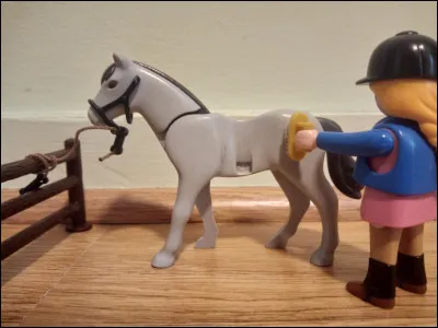 Comment s'appelle le moment où l'on brosse son cheval ?