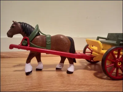 Quel est ce type de cheval ?