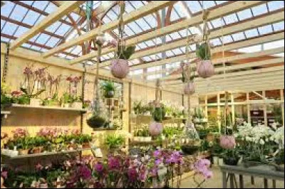 Parmi ces chaînes de magasins, laquelle n'est pas dans l'univers du jardin ?