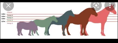 Que pr&eacute;f&egrave;res-tu ?