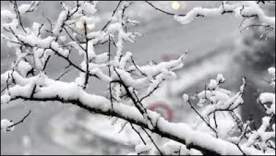 Pour toi, la neige c'est :