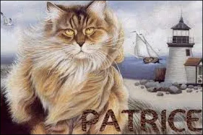 Champion d'Europe à 14 ans et champion du monde à 15 ans (titres renouvelés plusieurs fois au cours de sa carrière), dans quel sport s'est illustré Patrice Martin ?