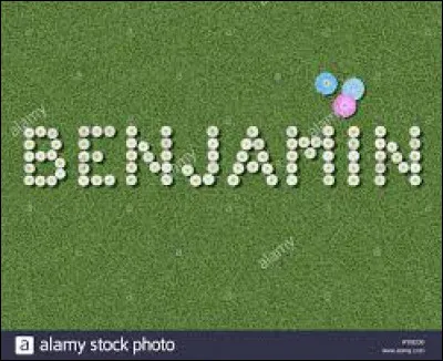 Benjamin désigne le plus jeune des enfants dans une famille. Autrefois quel nom lui donnait-on ?