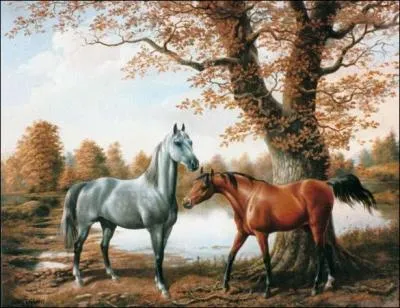 Ce tableau est fait par un artiste qui se nomme spirit ?