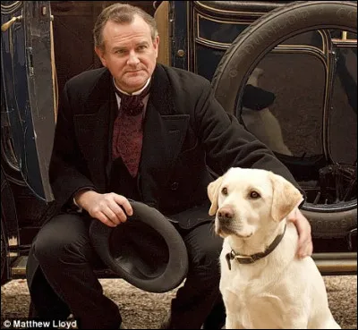 Comment s'appelle la chienne du comte ?