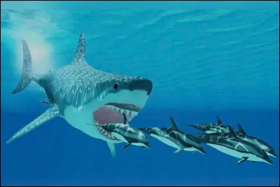 Le mégalodon peut avaler une maison.