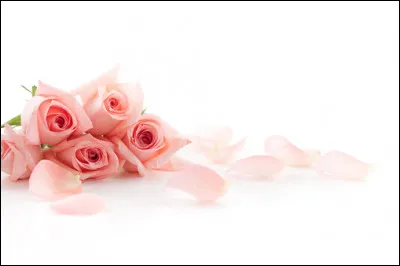 Quel compositeur, &agrave; qui l'on doit notamment les op&eacute;ras "Elektra" et "Salom&eacute;", compose "Le Chevalier &agrave; la rose" en 1911 ?