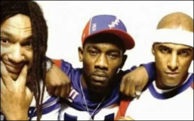 Quel rappeur n'a pas fait partie du Ministère A.M.E.R  ?