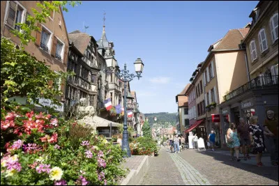 Quelle est l'intruse parmi ces villes ?