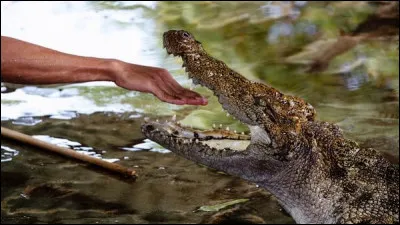 Que signifie l'expression "s'en mordre les doigts" ?