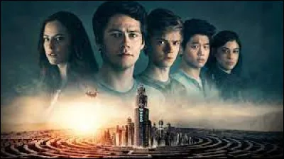 Quelle est la toute premi&egrave;re phrase prononc&eacute;e au d&eacute;but du film ''Le Rem&egrave;de mortel'' ?