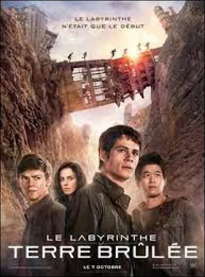En quelle ann&eacute;e est sorti le film ''Le Labyrinthe 2'' ?