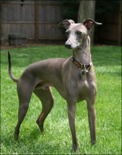 Quelle est celle-ci ?