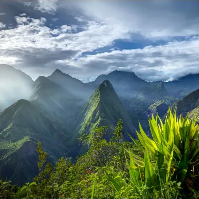 Toi et ton amie nêtes pas d'accord pour l'endroit où vous allez aller, tu décides donc de...