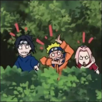 L'équipe de Naruto s'appelle...