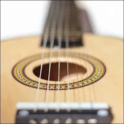 De quelle famille d'instruments la guitare fait-elle partie ?