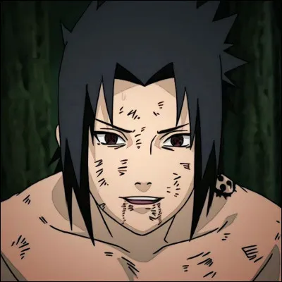 Comment s'appelle le doubleur français de Sasuke ?
