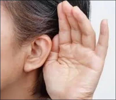 Parfois pour désigner une personne mal entendante on l'affuble du compliment à compléter : "Avoir les ... ensablées".