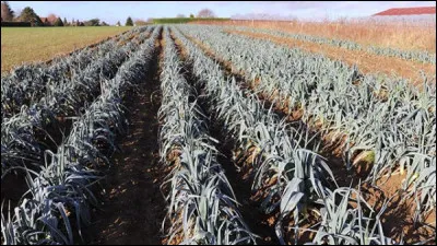 Situation militaire, c'est le...