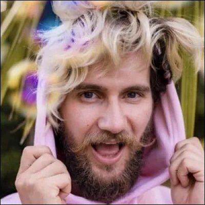 Qui est cet artiste formidable ?