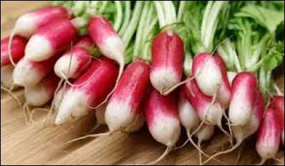 Quel est cet aliment ?