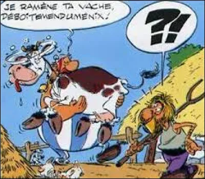 Depuis que la vache de D&eacute;boitemendum&eacute;nix a crois&eacute; C&eacute;sarion, elle a une dr&ocirc;le de manie. Quelle est-elle ?