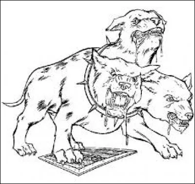 Quel est ton animal de compagnie à Poudlard ?