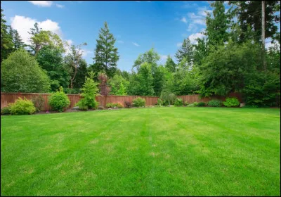 Comme vous le voyez, il y a pas de vis-à-vis. Que signifie ce terme ?