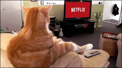 Quel est ton genre de film préféré ?