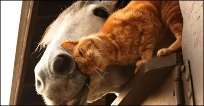 En cours (ou à l'école), comment es-tu ?